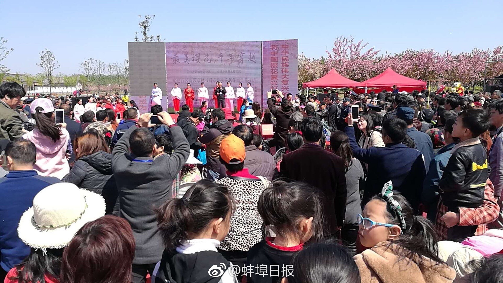宝可梦传说阿尔宙斯怎么获得帕路奇亚